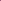 Peach & Purple