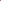 Lilac & Pink